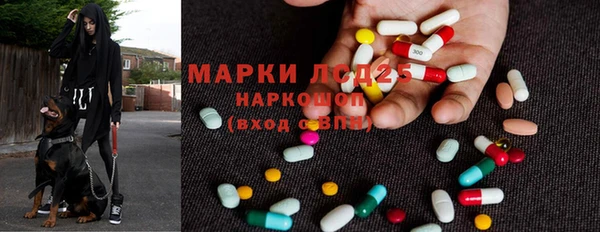 apvp Карталы
