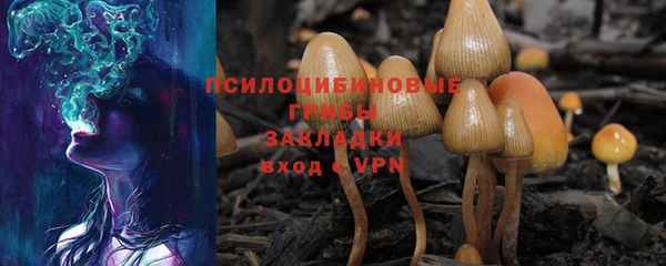 ALPHA PVP Касимов