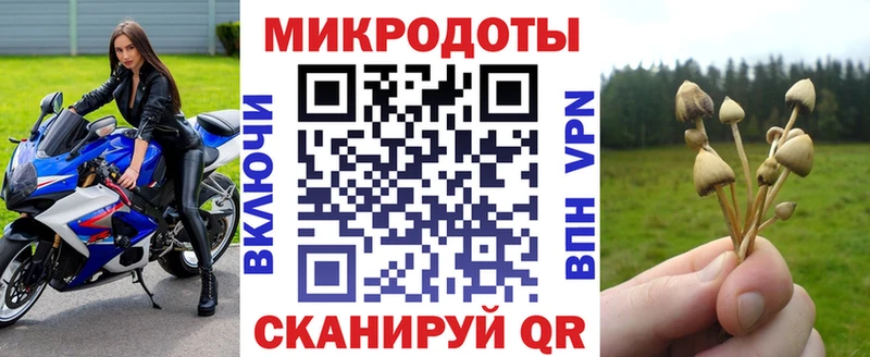 Купить закладки  Темников  Галлюциногенные грибы Psilocybine cubensis 